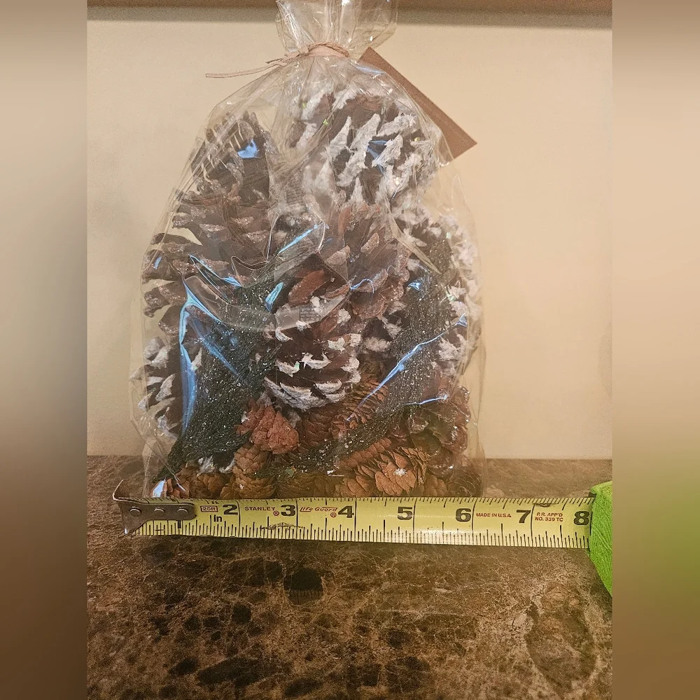 NWT Crate&Barrel Balsam/Pine Potpourri